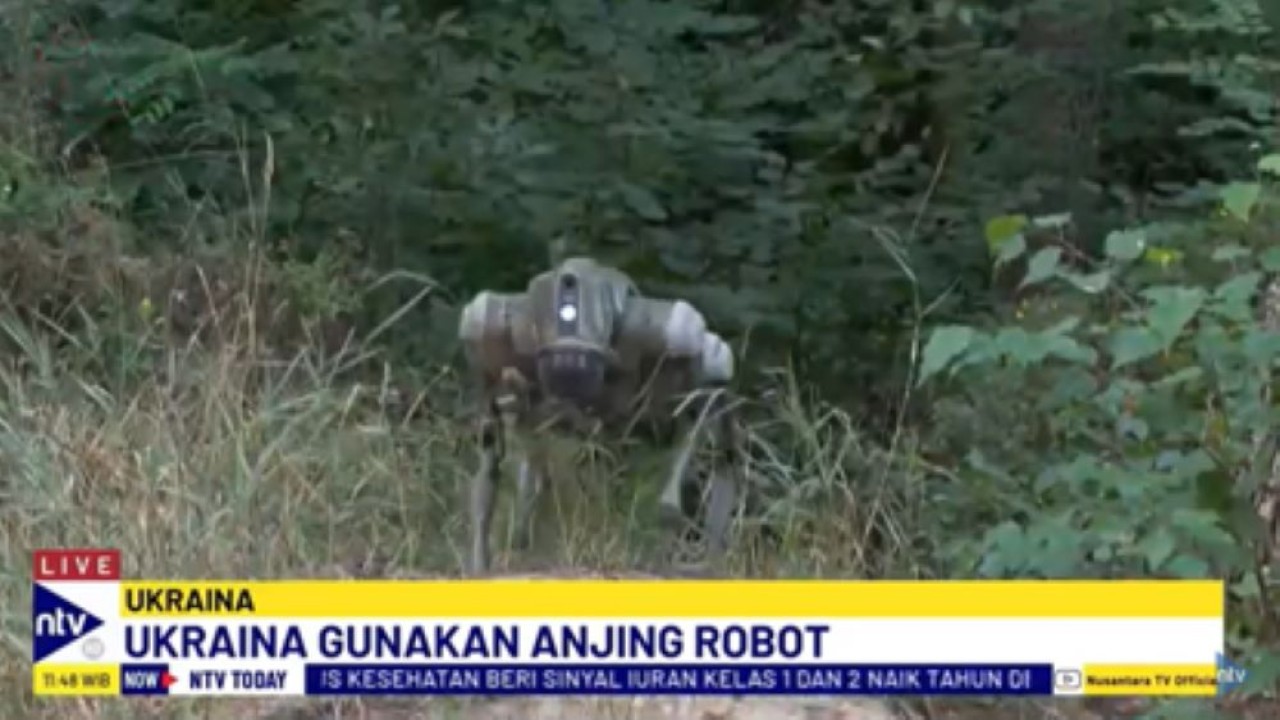 Anjing robot yang diberi nama Brit Allience Dog akan dikerahkan Ukraina menghadapi Rusia/tangkapan layar NTV