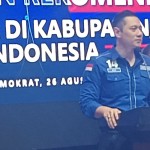 Ketua Umum Partai Demokrat-1724681196