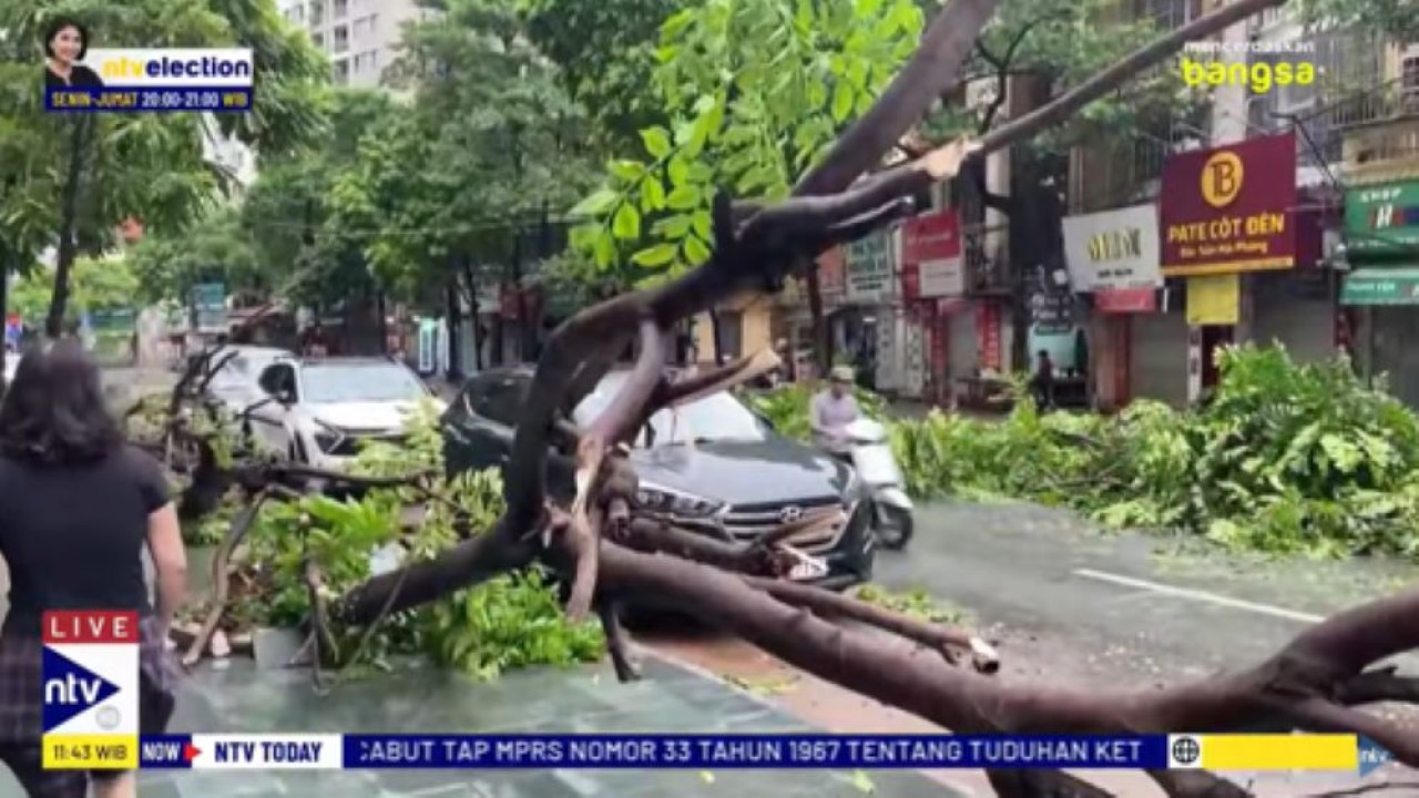 Pohon bertumbangan akibat hantaman badai Yagi di Vietnam