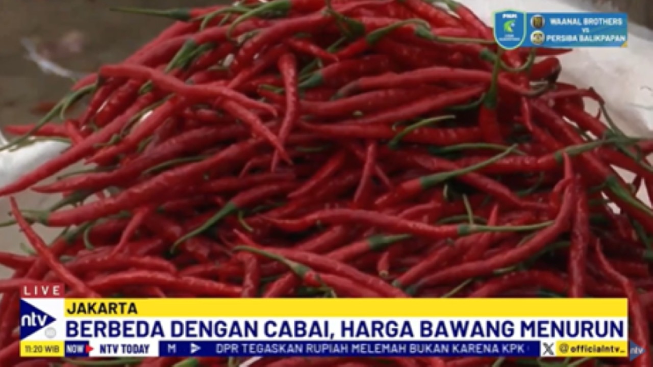 Harga cabai merah keriting mengalami kenaikan jelang Nataru