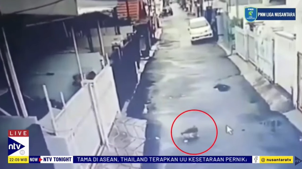 Peristiwa penembakan kucing peliharaan yang menjadi viral di media sosial ini terjadi di kawasan Kelapa Gading, Jakarta Utara, pada Selasa sore.