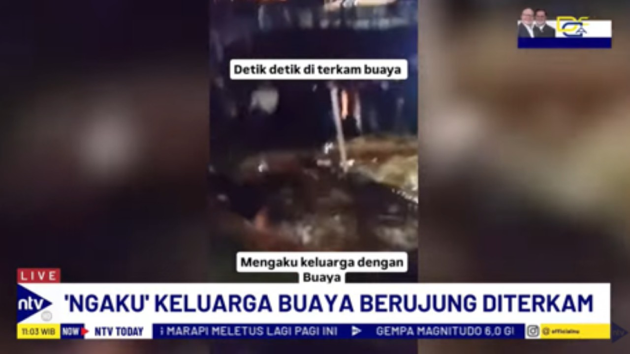 Seorang lansia di Gowa, Sulawesi Selatan diserang buaya hingga lengannya nyaris putus