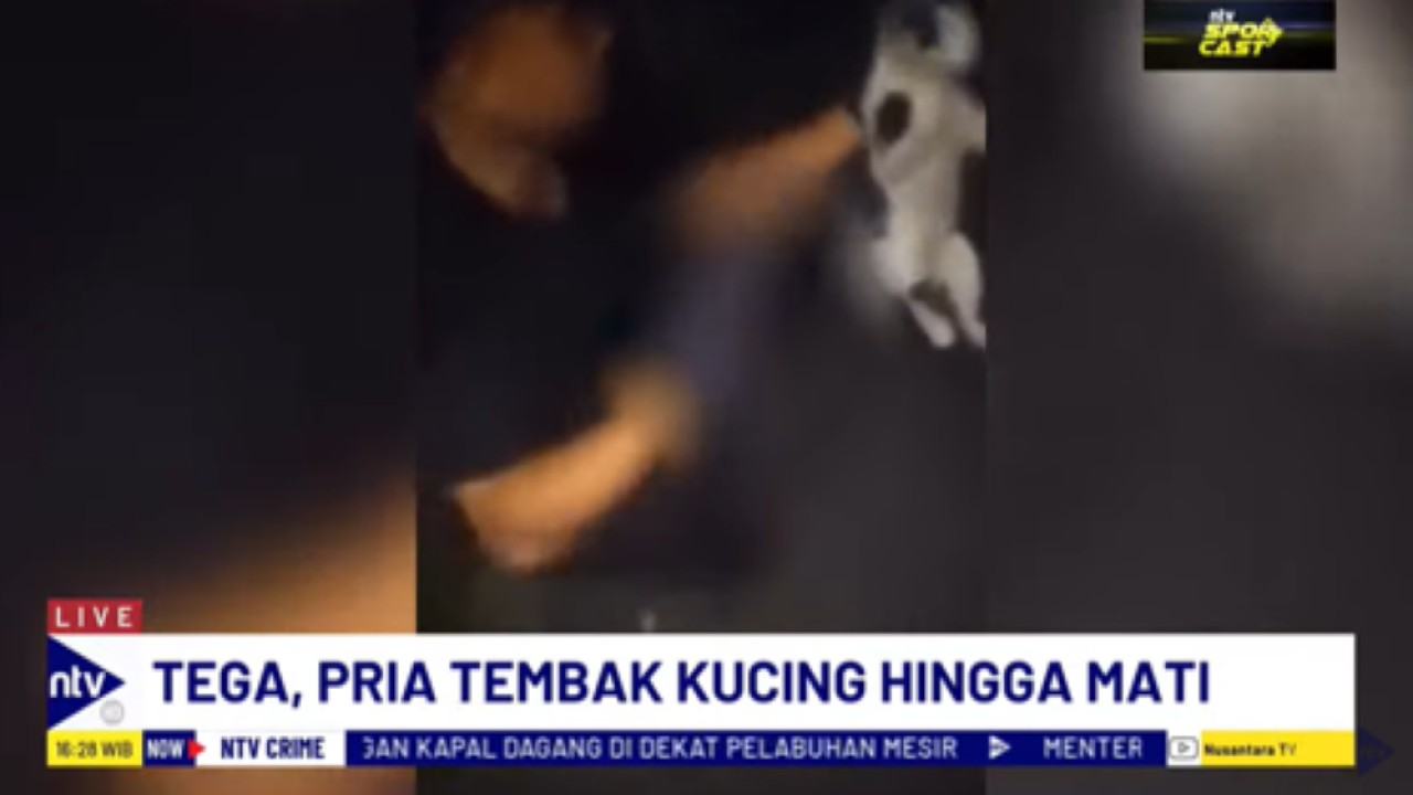 Pria di Bandung tembak kucing sampai mati pakai softgun