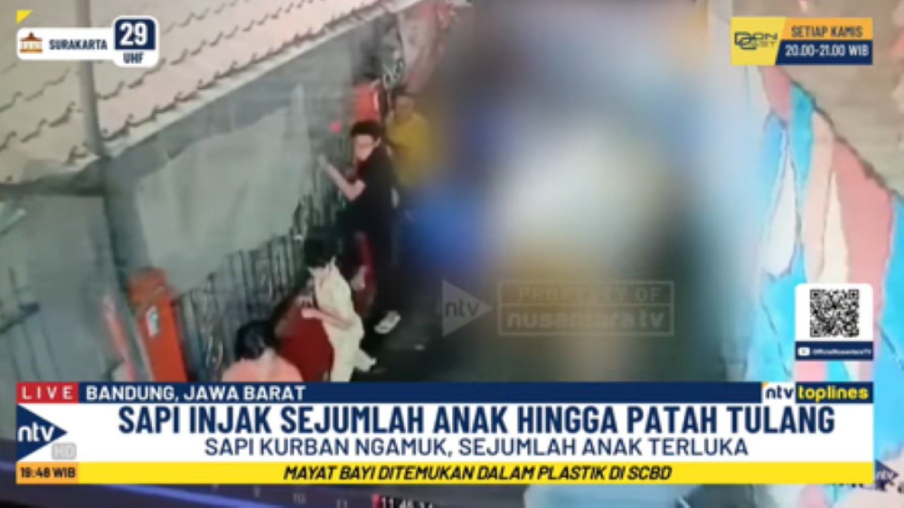 Seekor sapi kurban agresif dan mengamuk menyeruduk para anak-anak dan ibu-ibu yang berkerumun di gang