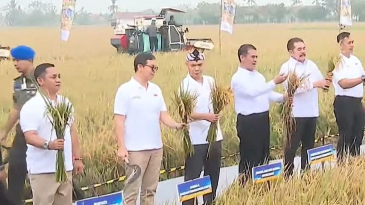 Jaksa Agung ST Burhanuddin bersama Menteri Pertanian Amran Sulaiman melaksanakan panen raya dalam program Jaksa Mandiri Pangan di lahan hasil sitaan negara di Bekasi