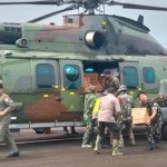 Pemerintah-1764407680