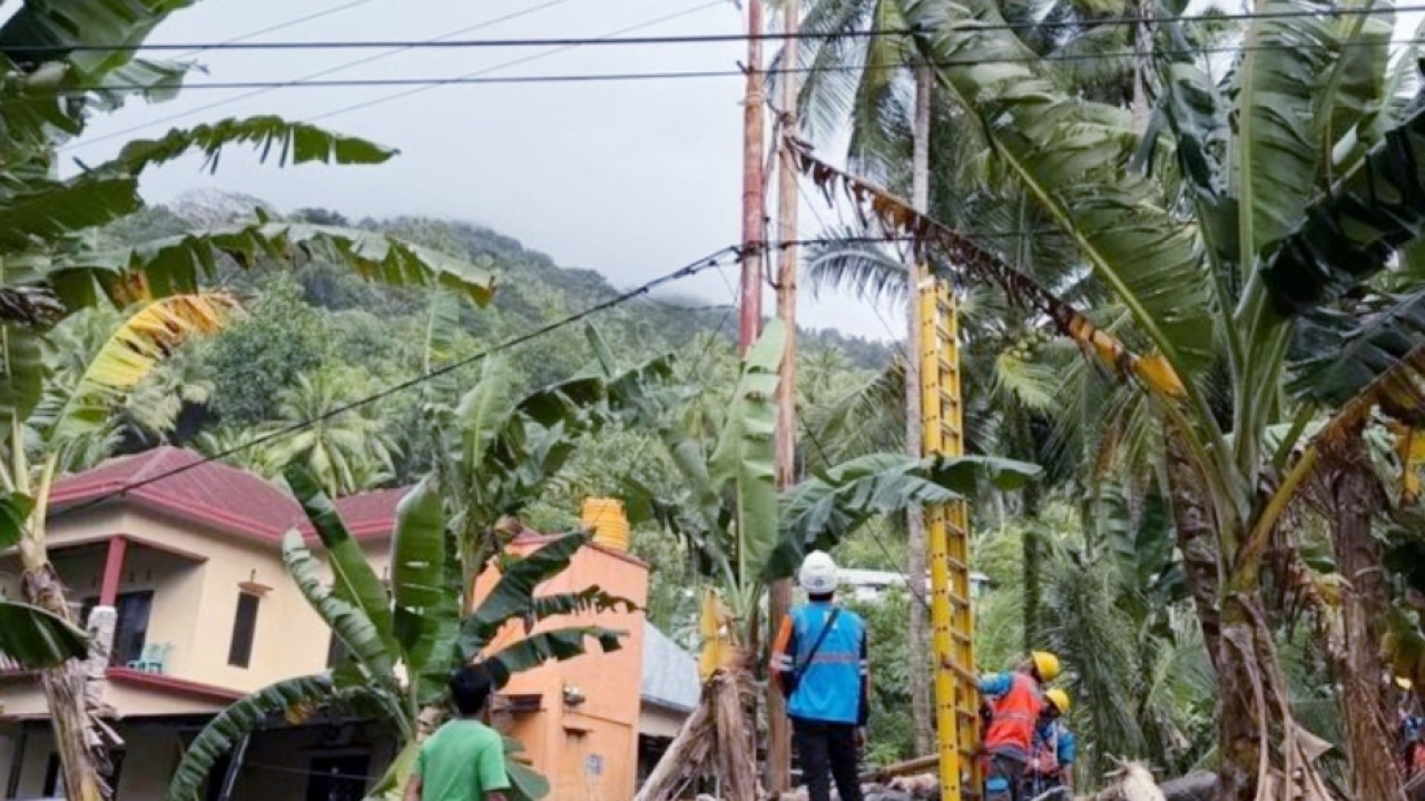 Petugas saat memperbaiki jaringan listrik pasca bencana Siau, Sulut. (Antara)
