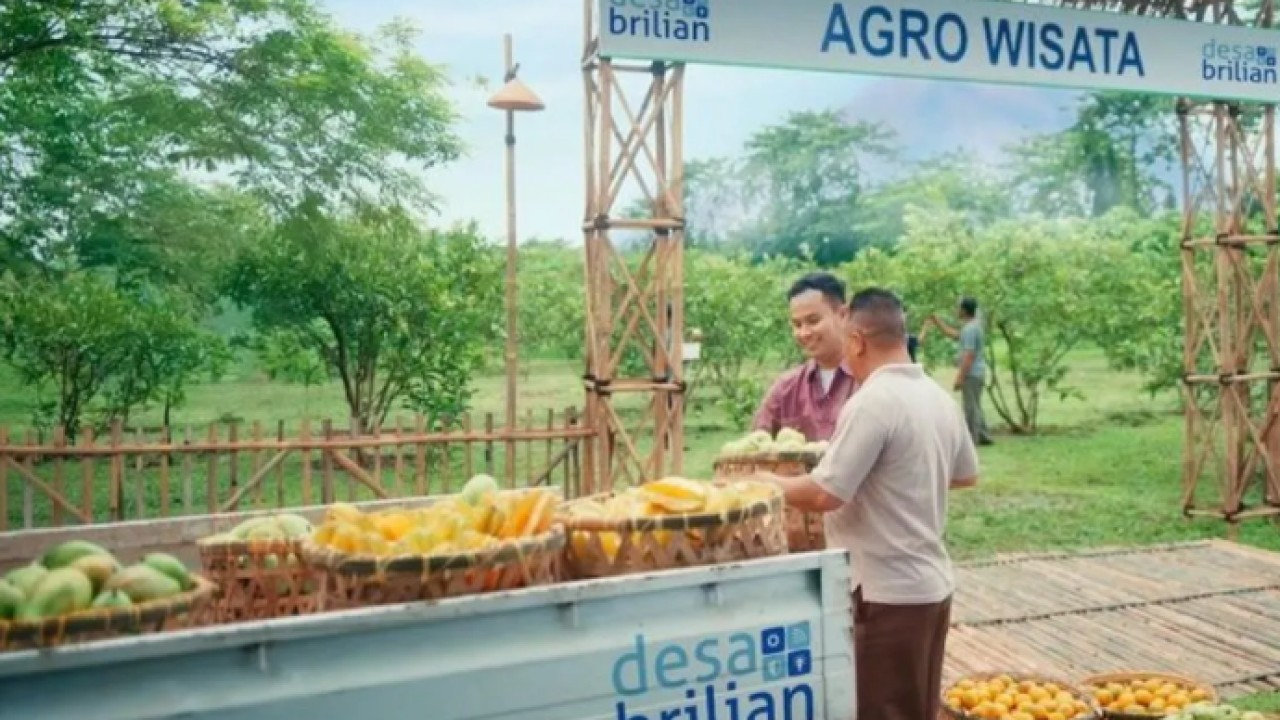 Ilustrasi - Desa BRILiaN (Antara)