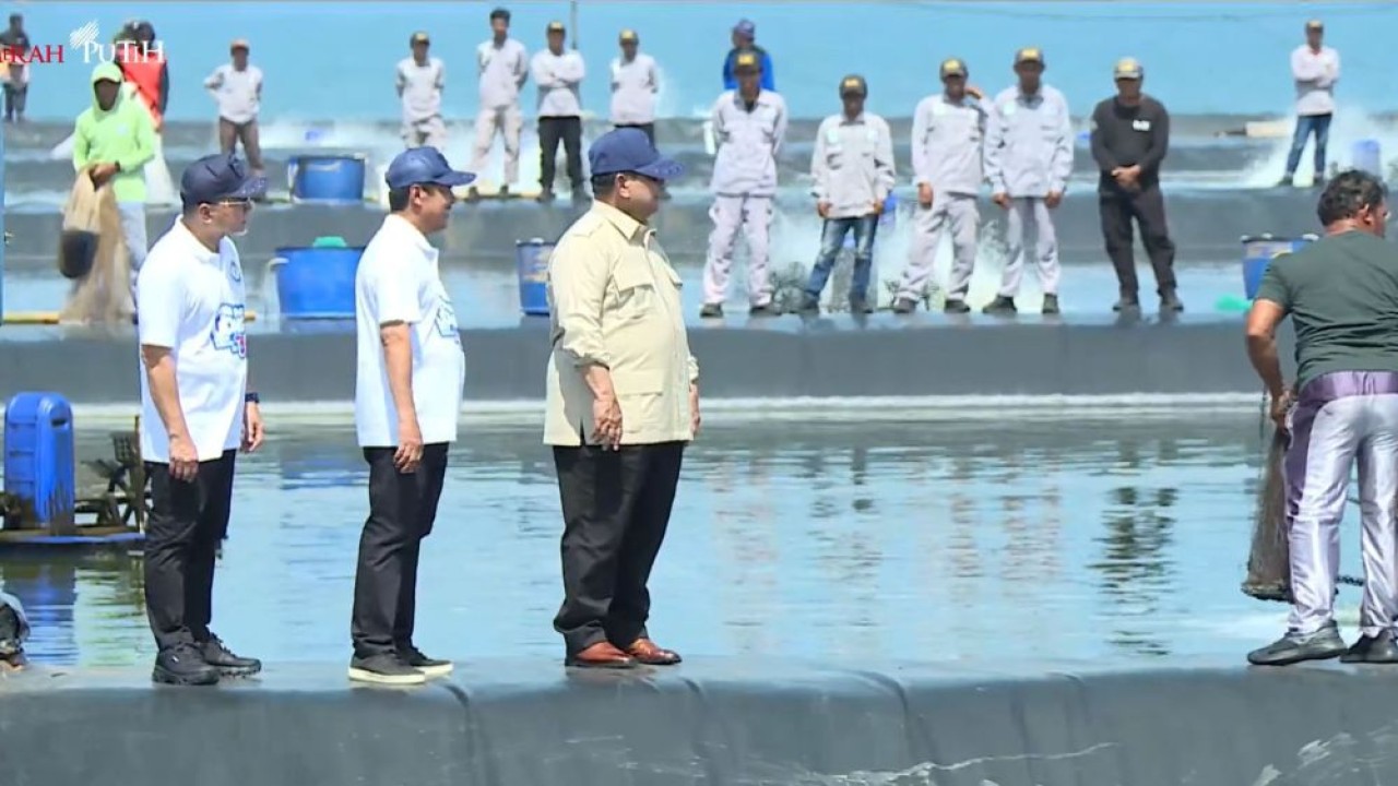 Presiden Prabowo Subianto menghadiri panen raya udang di Kebumen, Jawa Tengah, Sabtu, 23 Mei 2026. (Foto: Tangkapan layar)
