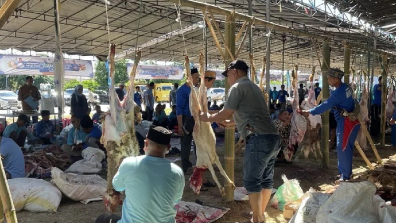 Suasana saat kegiatan penyembelihan 1.000 hewan kurban, di Ponpes Bai Mahdi Sholeh Ma'mun, Kabupaten Serang, Banten, Kamis (28/5/2026). ANTARA/Desi Purnama Sari (Antara)