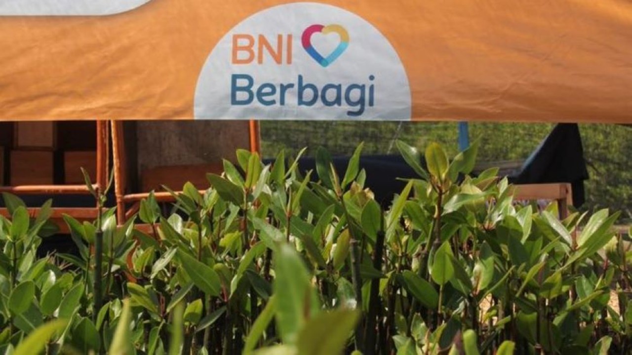 BNI telah menanam 258.000 bibit mangrove selama delapan tahun terakhir di sejumlah kawasan pesisir strategis, yakni Mempawah (Kalimantan Barat), Kebumen (Jawa Tengah), Kepulauan Seribu (DKI Jakarta), Banyuwangi (Jawa Timur), dan Pamekasan (Jawa Timur)