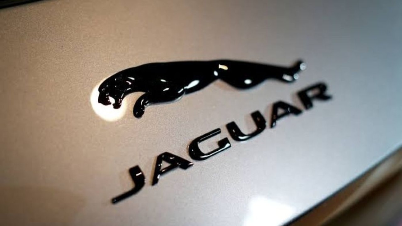 Jaguar-1783216506