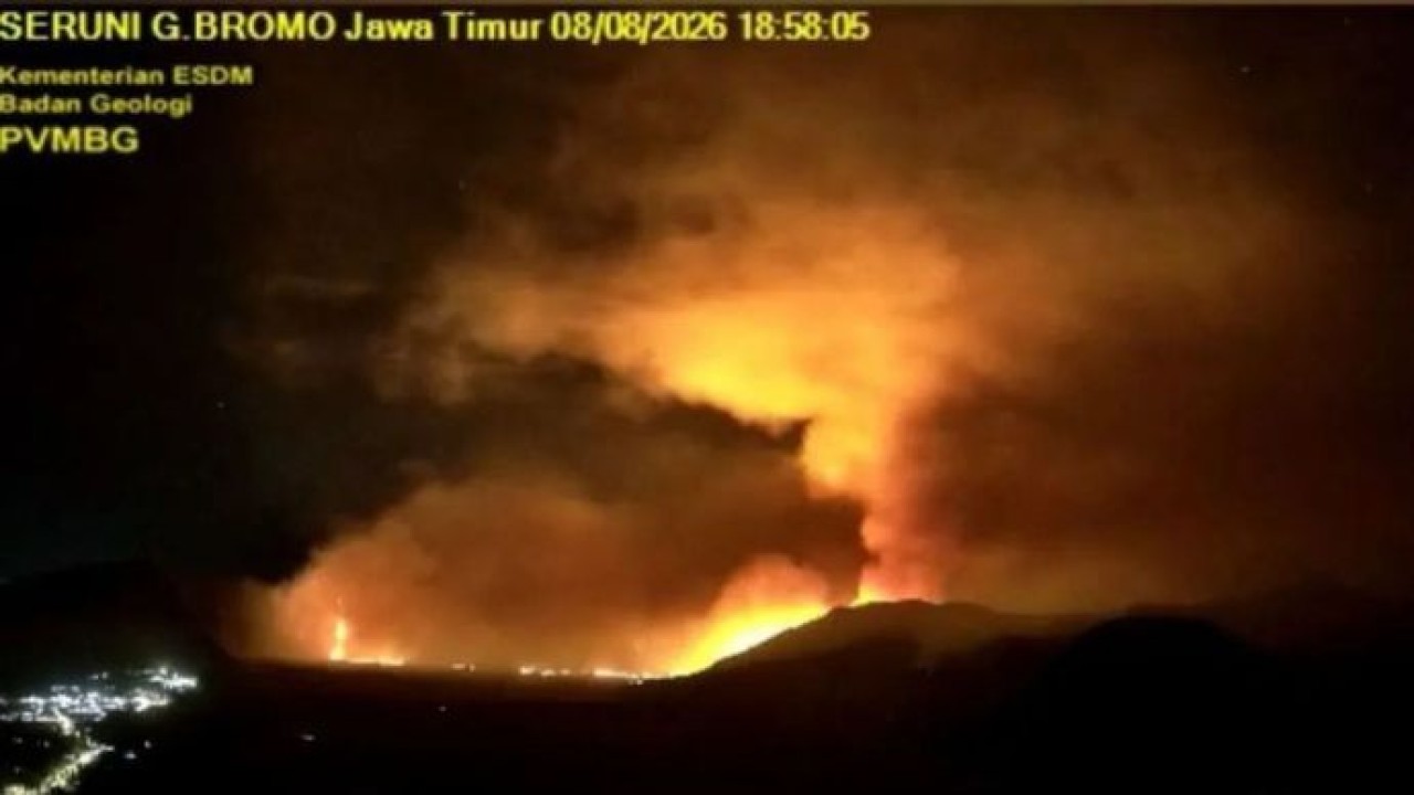 Kebakaran kawasan hutan Gunung Bromo di Jawa Timur, Sabtu (8/8/2026) malam (Antara)