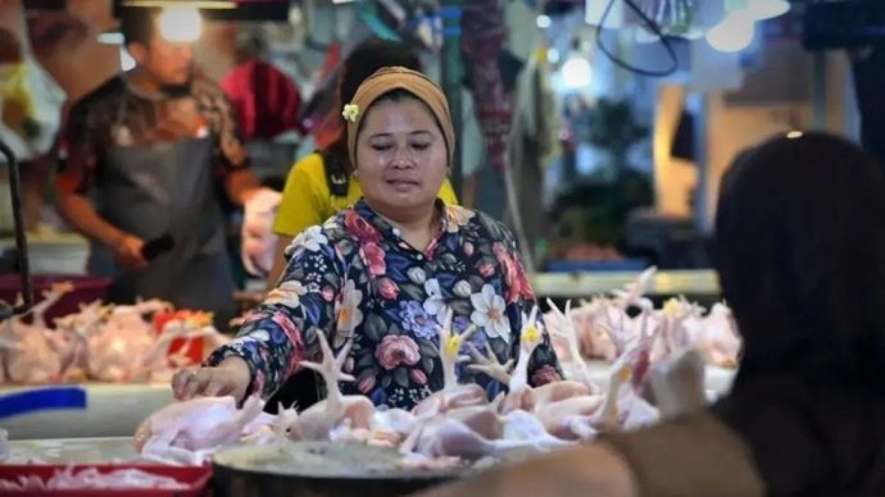 Ilustrasi - Calon pembeli memilih daging ayam yang dijual di Pasar Klandasan, Balikpapan, Kalimantan Timur yang harganya naik sehingga memicu inflasi. (Antara)