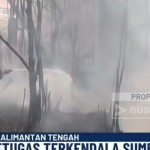 Tangkapan layar Nusantara TV-1791859163